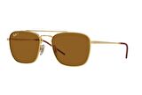 Ray-Ban RB3588 925083 55 Polarize Erkek Güneş Gözlüğü