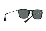 Ray-Ban RB4187 666381 54 Polarize Unisex Güneş Gözlüğü