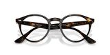 Ray-Ban 0RB 2180 710/M1 49