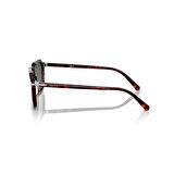 PO 3292S 24/31 52 PERSOL Güneş Gözlüğü