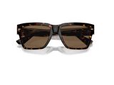 Dolce Gabbana 4431 502/73 55