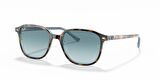 RAY-BAN 2193 13163M 55 Unisex Güneş Gözlüğü