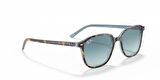 RAY-BAN 2193 13163M 55 Unisex Güneş Gözlüğü