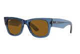 Ray-Ban RB0840S 668073 51 Unisex Güneş Gözlüğü