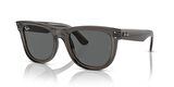 RAY-BAN R0502S 6707GR 53 UNİSEX GÜNEŞ GÖZLÜĞÜ