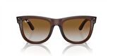 RAY-BAN RB 0502S 6709CB 53 Unisex Güneş Gözlüğü