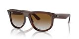 RAY-BAN R0501S 6709CB 56 Unisex Güneş Gözlüğü