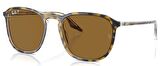 Ray-Ban RB2203 139357 52 Polarize Unisex Güneş Gözlüğü