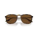 Ray-Ban 0RB 2203 1393/57 55