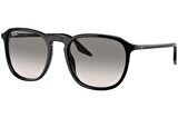 RAYBAN RB2203 90132 55 UNISEX GÜNEŞ GÖZLÜĞÜ