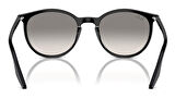 Ray-Ban RB2204 901/32 51 Unisex Güneş Gözlüğü