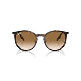 Ray-Ban RB 2204 90251 51 Unisex Oval Kırçıllı Kahverengi Kemik Güneş Gözlüğü