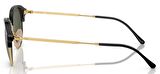 Ray-Ban RB4429 601/31 53 Unisex Güneş Gözlüğü