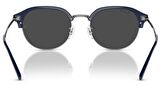 Ray-Ban RB4429 672448 53 Polarize Unisex Güneş Gözlüğü