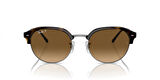 Ray-Ban RB4429 710/M2 55 Polarize Unisex Güneş Gözlüğü
