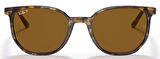 Ray-Ban RB2197 135757 54 Polarize Unisex Güneş Gözlüğü