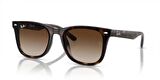 RAY-BAN RB4420 710/13 65 Unisex Güneş Gözlüğü