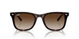 RAY-BAN RB4420 710/13 65 Unisex Güneş Gözlüğü