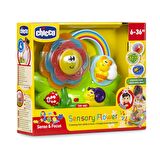 Chicco Çiçeklerle Duyuları Öğreniyorum