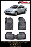Rizline Citroen C5 2001 Model 3D Havuzlu Paspas