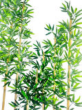 5li Set Yapay Bambu Sopası 8 Yapraklı 70cm Yapay Çiçek Bambu Duvarı Separatör Çiçeği Yapay Çiçek