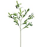 Yapay Zeytin Dalı Uzun Dallı 90cm 6 Meyveli