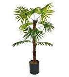 Yapay Ağaç Yelpaze Palmiye 8 Yaprak 85*55cm Siyah Aleminyum Saksı