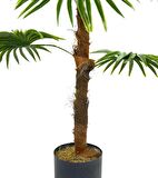 Yapay Ağaç Yelpaze Palmiye 8 Yaprak 85*55cm Siyah Aleminyum Saksı