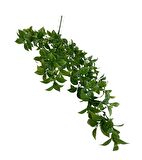 Yapay Çiçek Sarkan Fejka Yeşil Limon Yaprağı Yapay Sarmaşık 60cm
