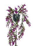 Yapay Çiçek Siyah Saksıda Sarkan ty60 Fuşya Bitki Yapay Sarmaşık 60cm
