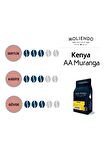 Moliendo Kenya Aa Muranga Yöresel Kahve (Çekirdek Kahve) 250 G.