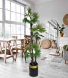 Yapay Ağaç Palmiye Fanpalm 3Katlı 24Yaprak Gold Kemerli Siyah Saksıda 165*65cm
