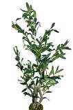 Yapay Çiçek Zeytin Ağacı Doğal Gövdeli Galvaniz Siyah Saksıda 95cm Yapay Ağaç