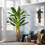 Yapay Ağaç Muz Ağacı 160cm 12Yaprak 3Gövdeli