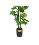 Yapay Ağaç Yelpaze Palmiye 4Katlı Fanpalm 32 Yaprak Altın Kemerli Siyah Saksıda 170*65cm