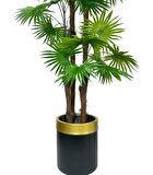 Yapay Ağaç Yelpaze Palmiye 4Katlı Fanpalm 32 Yaprak Altın Kemerli Siyah Saksıda 170*65cm