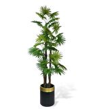 Yapay Ağaç Yelpaze Palmiye 4Katlı Fanpalm 32 Yaprak Altın Kemerli Siyah Saksıda 170*65cm