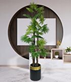Yapay Ağaç Yelpaze Palmiye 4Katlı Fanpalm 32 Yaprak Altın Kemerli Siyah Saksıda 170*65cm