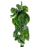 Yapay Çiçek Saksıda Sarkan Monstera Deve Tabanı Yapay Sarmaşık Pastel 60cm
