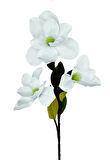 Yapay Çiçek Süt Beyaz Manolya Islak Doku 3 Kafalı Uzun Dal Çiçek Flowers 95cm