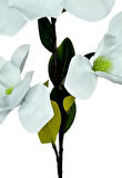 Yapay Çiçek Süt Beyaz Manolya Islak Doku 3 Kafalı Uzun Dal Çiçek Flowers 95cm