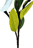 Yapay Çiçek Süt Beyaz Manolya Islak Doku 3 Kafalı Uzun Dal Çiçek Flowers 95cm