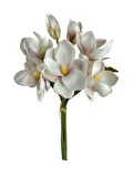 Yapay Çiçek Manolya Letex Eva Magnolia 33cm Pudra Pembe