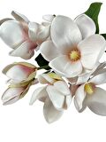 Yapay Çiçek Manolya Letex Eva Magnolia 33cm Pudra Pembe