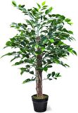 Yapay Ağaç Benjamin 2 Gövdeli Çalılı 120x70cm Siyah Plastik Saksılı