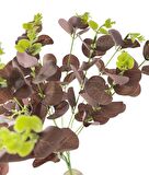 Yapay Çiçek Okaliptus Demet Kahverengi Aradal Garnitür Eucalyptus