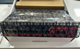 ZTECH ZR-1008 8+2 POE SWITCH 125W MEGABIT WATCHDOG