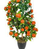 Yapay Ağaç Mandalina Ağacı 80cm 3boy Bambuda Akrilik Siyah Saksılı