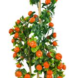 Yapay Ağaç Mandalina Ağacı 80cm 3boy Bambuda Akrilik Siyah Saksılı