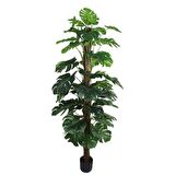 Yapay Çiçek Monstera Salon Sarmaşığı  Tropik Salon Bitkisi Yapay Ağaç 150cm